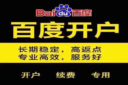 某品牌SEM代运营的成长历程与启示